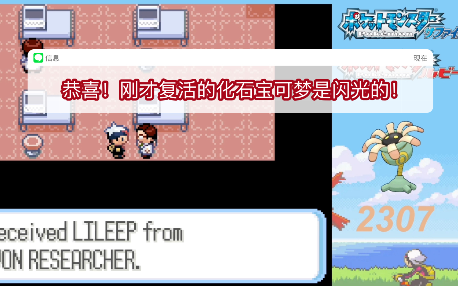 梦幻西游红宝石吸收率-梦幻西游玩家必看!红宝石吸收率揭秘,升级技巧大揭秘