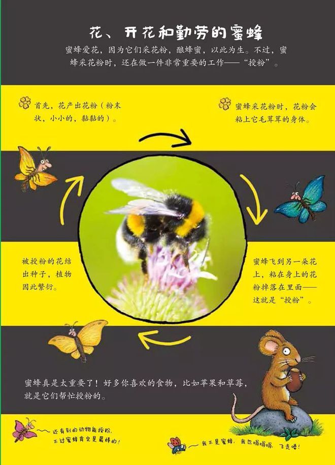 美女来找茬游戏规则_美女来找茬游戏规则_美女来找茬游戏规则