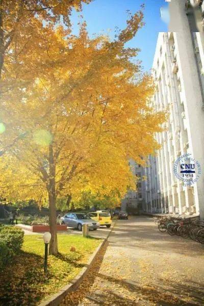 北京大学软件与微电子学院 地址-揭秘北京大学软微院：现代科技氛围里的学府绿洲