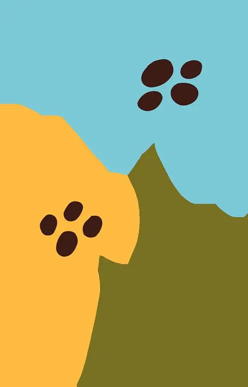 动画pdf电子书-揭秘动画PDF电子书：文字、图片、动画，阅读全新体验