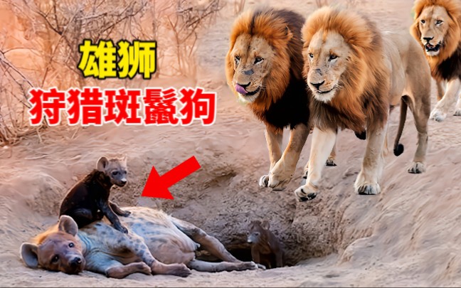 游戏野战雄狮_野战雄狮游戏音乐_雄狮野战游戏攻略