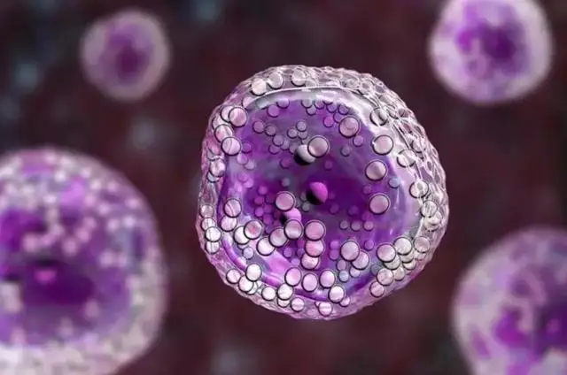biosharp牛血清白蛋白_牛血清白蛋白是不是bsa_bsa牛血清白蛋白