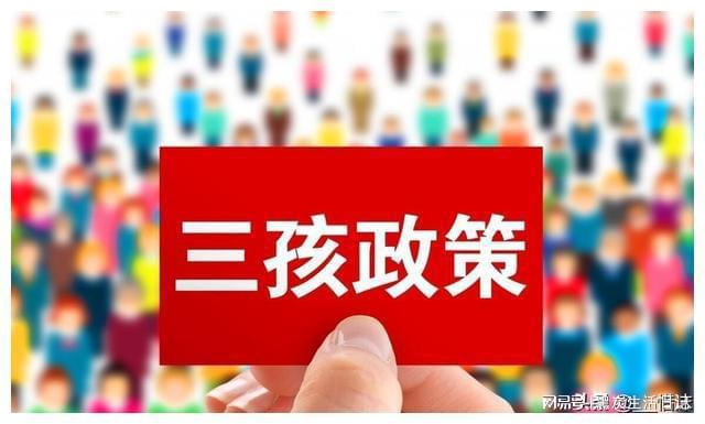 美羊羊洗衣店下载_美羊羊洗衣店_洗衣羊的图片
