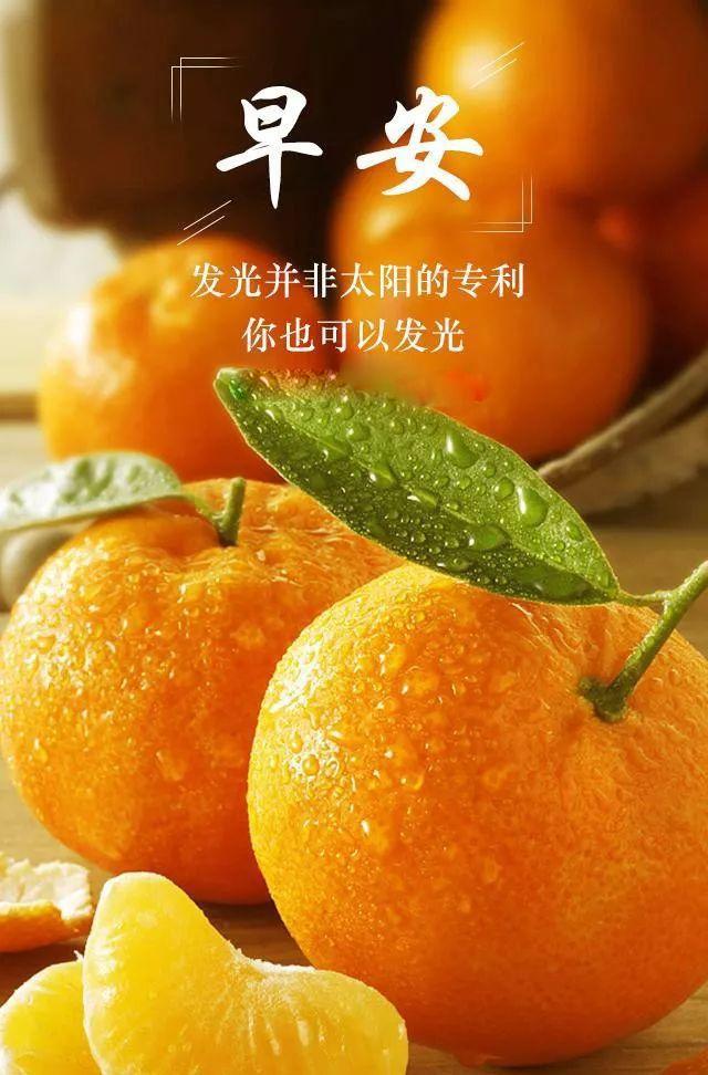 两个世界序号怎么破-揭秘穿越两个世界序号的方法：探索现实与梦想的边界