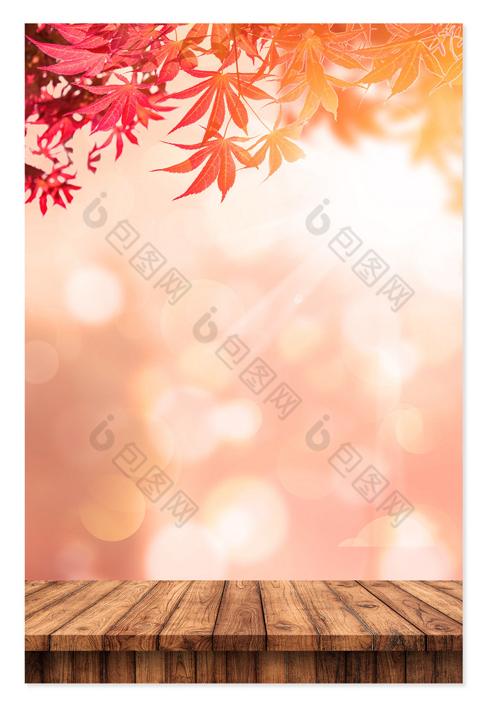 动漫枫叶林图片_枫叶动漫风景_枫叶动漫素材
