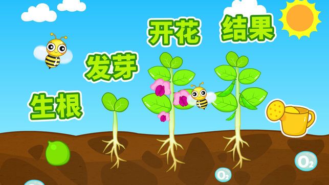 记名字的游戏规则_规则游戏简单_规则游戏及玩法