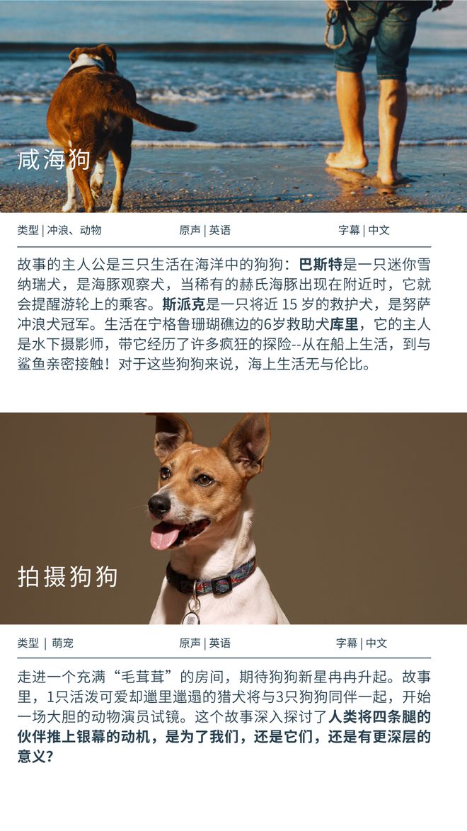 同花顺行情软件下载_行情中心同花顺_同花顺十档行情软件