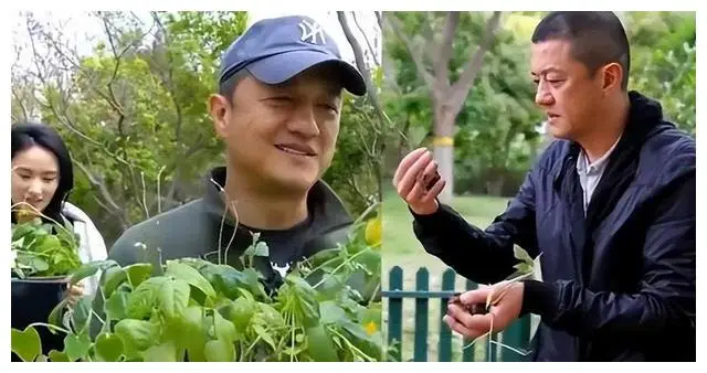 十大手游公会排行榜_手游公会排行_好玩的公会游戏