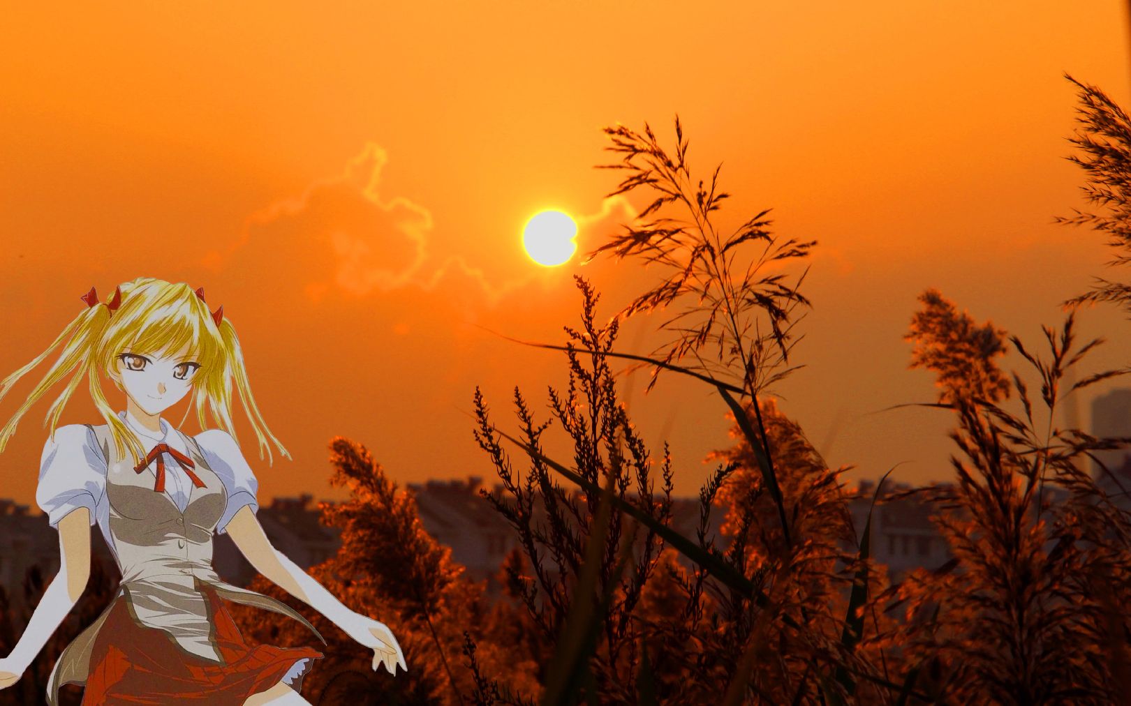 lovelive 谬斯解散_lovelive解散原因_lovelive解散之后