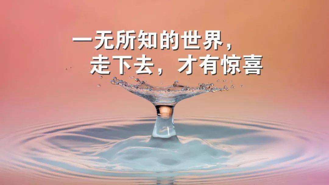 三成二_成语接龙_成为恶毒女配之后拿下男主