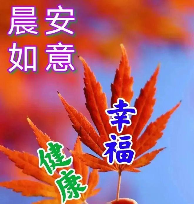 类似吐司的软件_类似吐司软件有哪些_类似吐司软件的软件