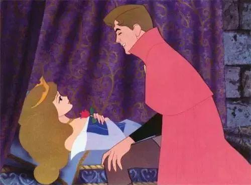 吻不醒的睡美人_吻醒睡美人的王子叫什么_美人醒了诗句