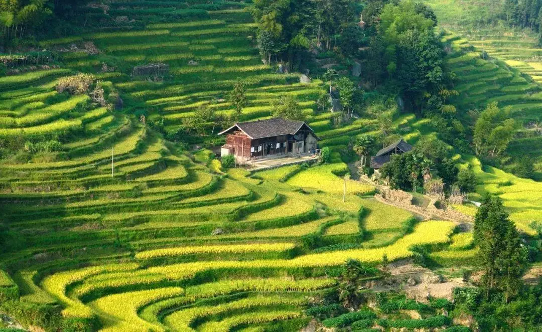 皇家赌场游戏里的皇家美媚_美媚游戏_游戏美吗