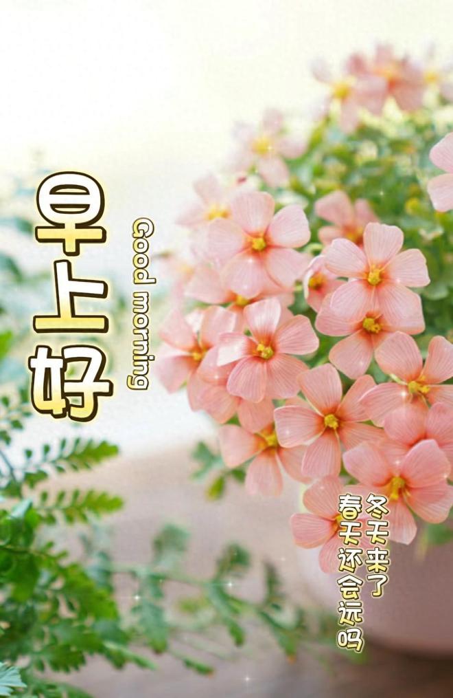 海绵宝宝西部牛仔_海绵宝哥西部大冒险_海绵宝宝第96集西部大冒险