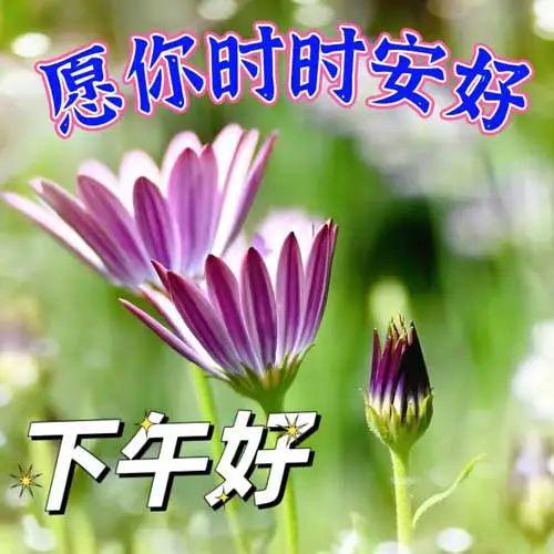 昭和杂货店物语破解版_昭和杂货店物语2_昭和杂货店