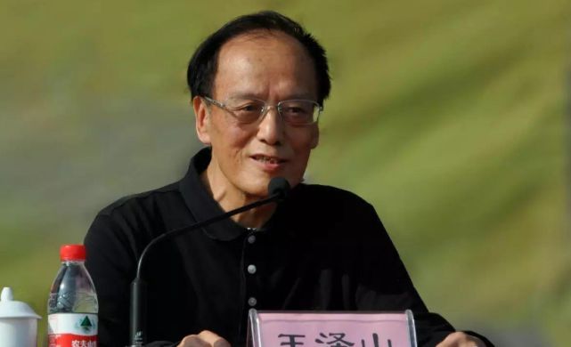 白鹭引擎是谁开发的_白鹭引擎 王泽_白鹭引擎百度百科