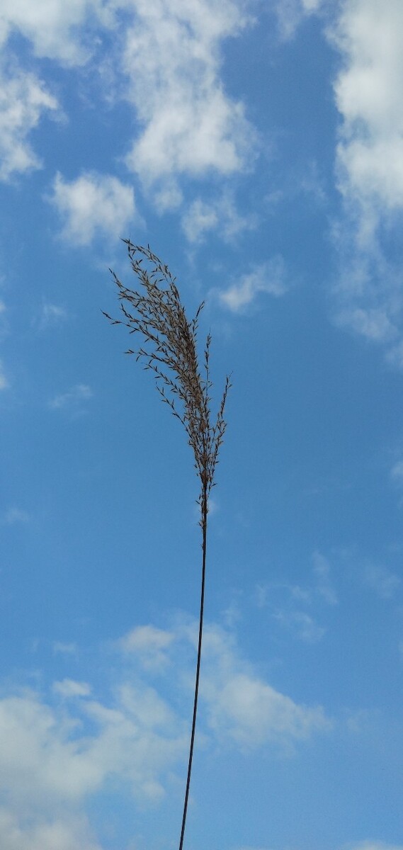 上古世纪na_上古世纪花钱吗_上古世纪挣钱