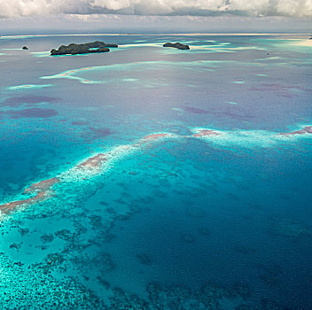 世界珊瑚大全_世界最大的海 珊瑚海_十大珊瑚海