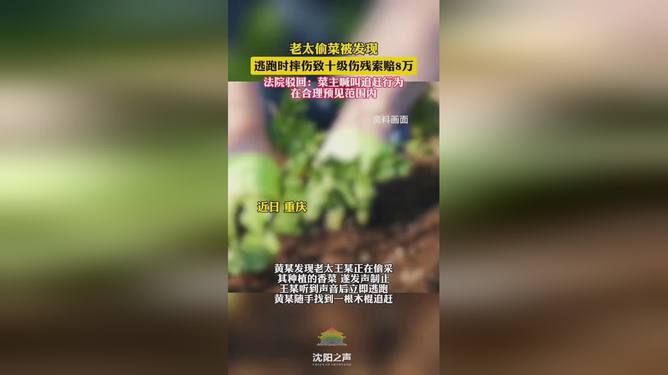 视频偷菜下载软件免费_下载视频偷菜软件_视频偷菜下载软件有哪些