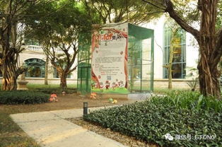松鼠房子游戏攻略,轻松掌握游戏技巧