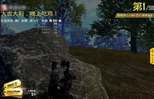 吃鸡游戏自杀,从“吃鸡”到“生命终结”的悲剧之旅
