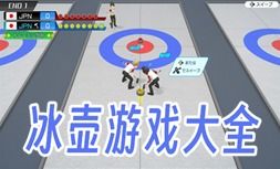 桌上冰壶 